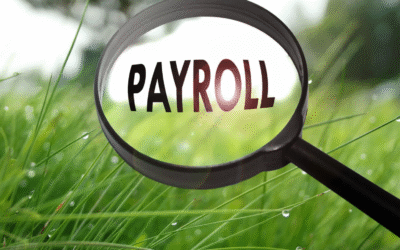 Streamlining Payroll for Construction Companies: Best Practices and Tools