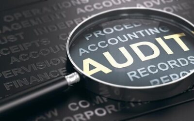 How to Prepare for a Business Audit: A Step-by-Step Guide