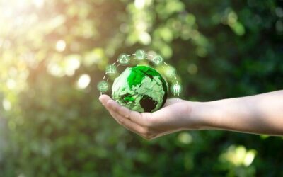 Sustainability Accounting: How to Track and Report Environmental Impact