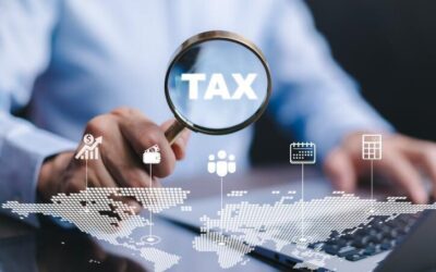 Top Accounting and Tax Services Every Small Business Needs in 2024