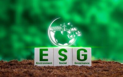 The Impact of ESG (Environmental, Social, and Governance) Criteria on Corporate Tax Strategies 