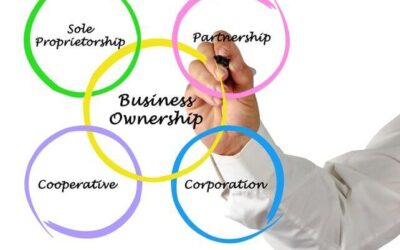 Why Tailored Entity Solutions Are Key to Long-Term Success